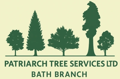 Patriarch Tree Services Limited