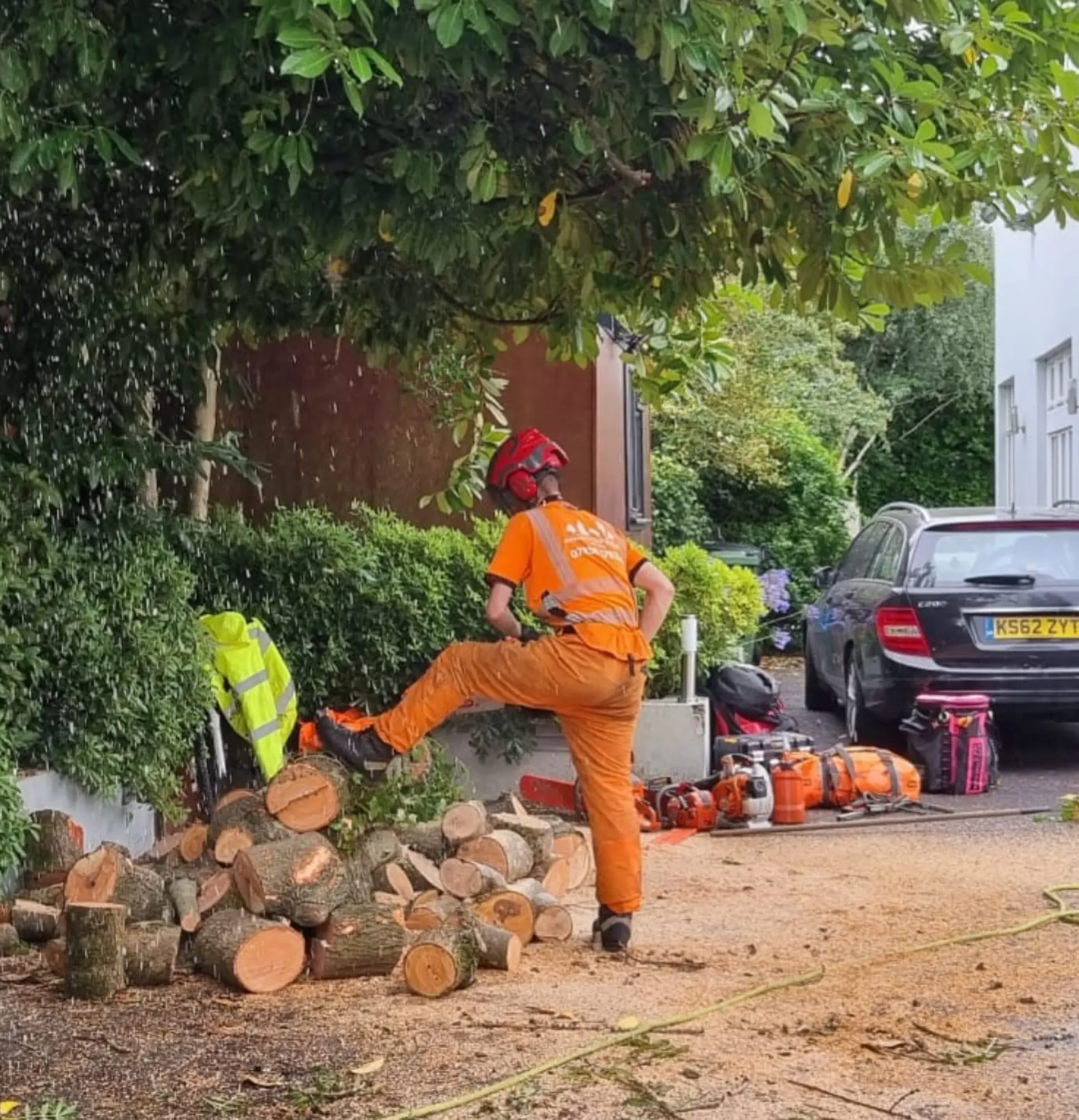 Stump Grinding Bath, Corston and Midford