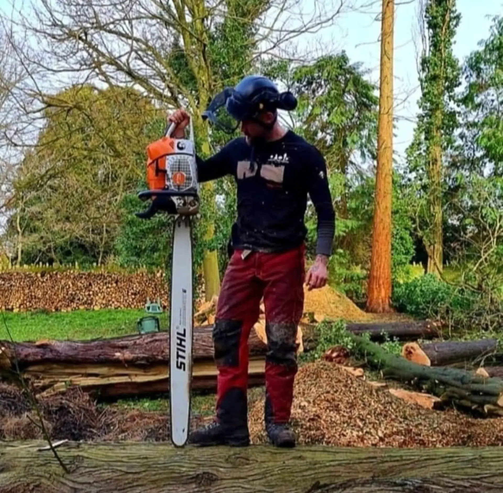 Contact Our Tree Surgeon Today