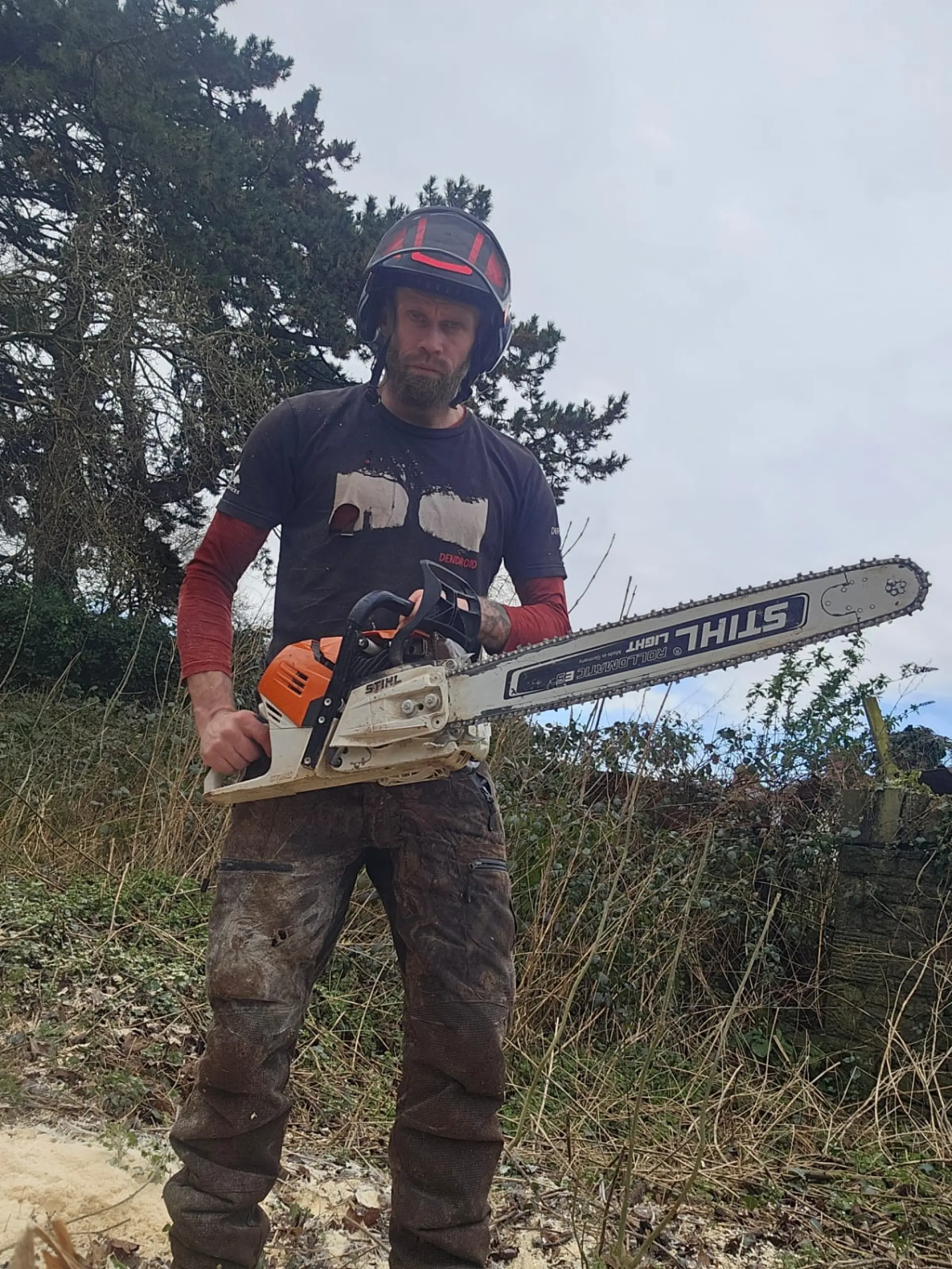 Emergency Storm Damage Tree Surgeons Bath, Corston and Midford